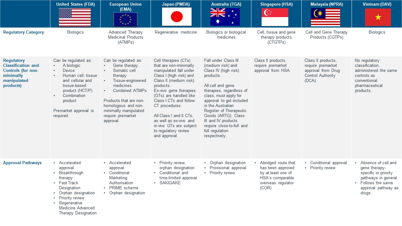 Navigating the Diverse Cell, Tissue, and Gene Therapy Landscape in 