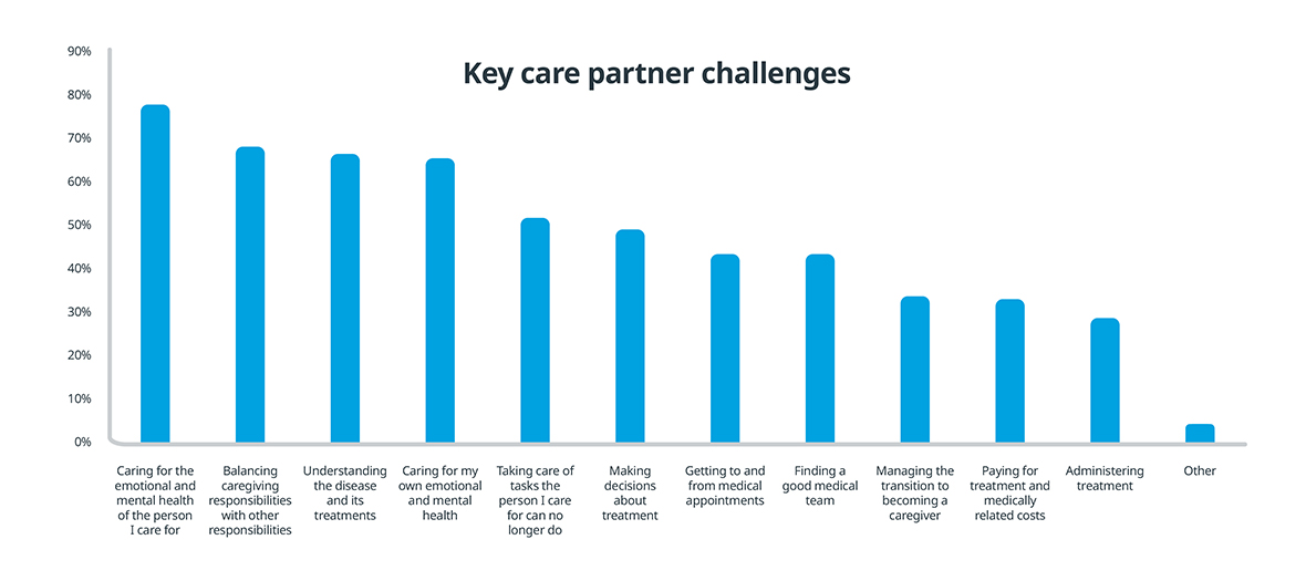 Key care partner challenges